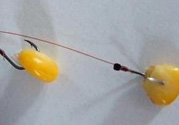 玉米粒怎么釣魚？怎么用玉米粒釣魚？