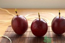 百香果和羅漢果一樣嗎？百香果和羅漢果的區(qū)別