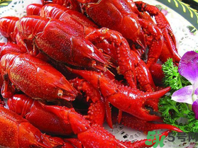 10月份還有龍蝦嗎？10月份龍蝦能吃嗎？