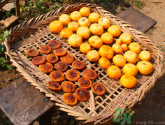 柿餅的營養(yǎng)價值 柿餅的功效和作用 柿餅的營養(yǎng)價值 柿餅的功效和作用