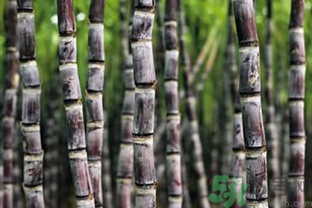 甘蔗發(fā)紅還能吃嗎？甘蔗中間發(fā)紅是怎么回事？