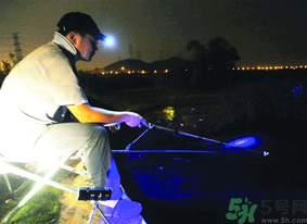 秋天可以夜釣嗎？秋天夜釣技巧