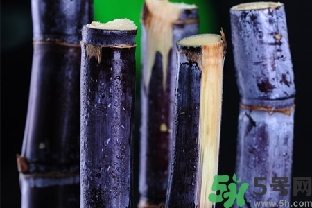 甘蔗一天吃多少最好？甘蔗能每天都吃嗎？