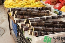 甘蔗一天吃多少最好？甘蔗能每天都吃嗎？