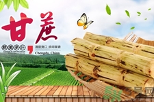 甘蔗吃多了會(huì)怎么樣？甘蔗吃多了會(huì)得糖尿病嗎？