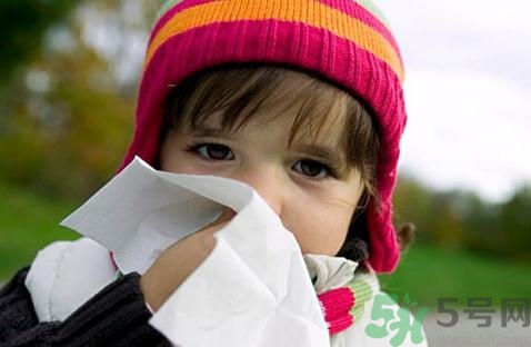 上火流鼻血吃什么降火?上火流鼻血吃什么水果 上火流鼻血吃什么降火?上火流鼻血吃什么水果