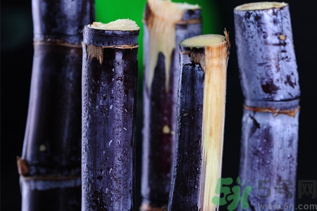 老人一天吃多少甘蔗最好？老人一天吃多少甘蔗合適？