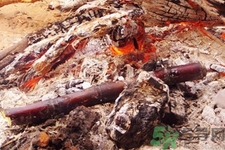 甘蔗能烤著吃嗎？甘蔗烤著吃有什么好處？