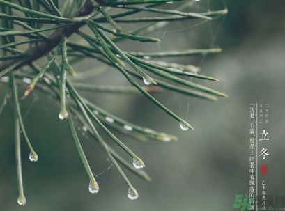 立冬可以回娘家嗎？立冬為什么不能回娘家？