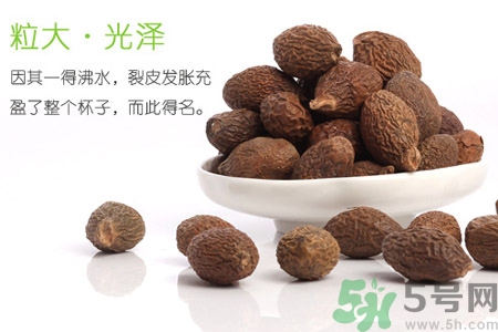 胖大海泡水后能吃嗎？胖大海的功效與作用