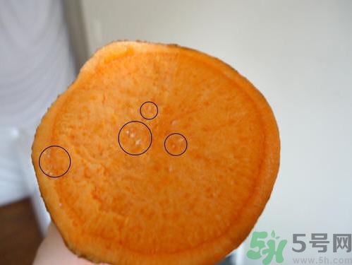 番薯發(fā)芽還能吃嗎？山芋發(fā)芽還能吃嗎？