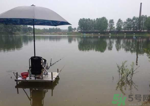 水庫釣魚用什么餌料？水庫釣魚用什么商品餌？