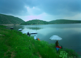 陰天好釣魚嗎？陰天釣魚好釣嗎？