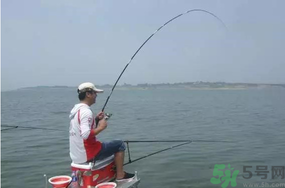 陰天好釣魚嗎？陰天釣魚好釣嗎？