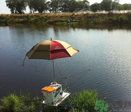 陰天好釣魚嗎？陰天釣魚好釣嗎？