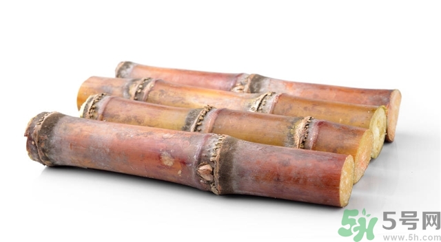 吃甘蔗會胖嗎,吃甘蔗會發(fā)胖嗎？