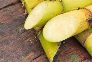 吃甘蔗有什么好處？吃甘蔗的好處與壞處