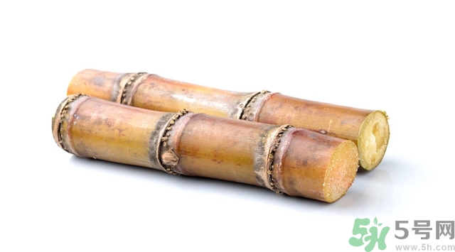 吃甘蔗會胖嗎,吃甘蔗會發(fā)胖嗎？