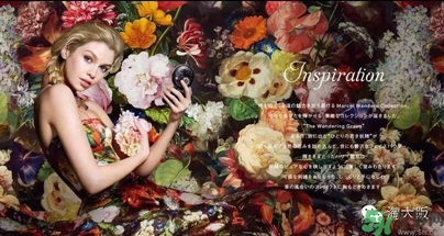 黛珂刺繡蜜粉餅怎么樣？黛珂旅行妖精粉餅好用嗎？