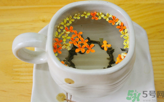 剛摘的桂花可以泡茶嗎？剛摘的桂花能泡茶嗎？