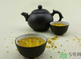 新鮮桂花可以泡水喝嗎？新鮮桂花泡水喝有什么好處？