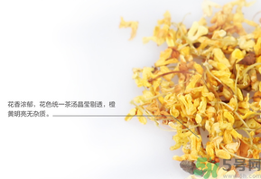 新鮮桂花可以泡水喝嗎？新鮮桂花泡水喝有什么好處？