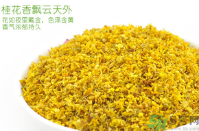 剛摘的桂花有蟲怎么辦？干桂花長蟲怎么辦？