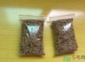 桂花怎么曬干？桂花曬好后可以做什么？