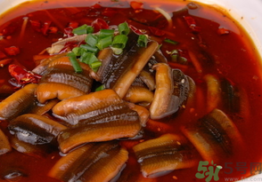 野生黃鱔有寄生蟲嗎？野生黃鱔怎么去寄生蟲？