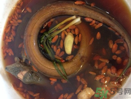 黃鱔泡酒喝能戒酒嗎？活黃鱔泡酒能戒酒嗎？