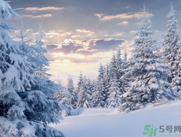 凍瘡是由于皮膚哪一部分受損而引起的？