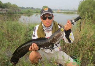 路亞釣黑魚用什么假餌？路亞釣黑魚用什么餌？