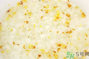 新鮮桂花可以煮粥嗎？桂花可以煮粥嗎？