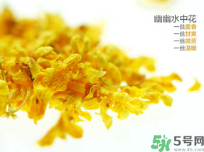 桂花可以泡水喝嗎？桂花怎么泡水？