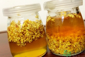 干桂花可以做桂花蜜嗎？干桂花怎么做桂花蜜？