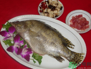 桂魚怎么保存？桂魚放冰箱怎么保存？