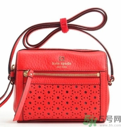 kate spade和coach哪個(gè)好？凱特絲蓓好還是蔻馳好？