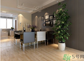 桂花樹可以種在室內(nèi)嗎？桂花樹適合在室內(nèi)嗎？