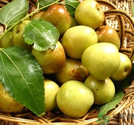 糖精棗吃了會(huì)怎樣？糖精棗有什么危害？