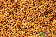 腰果可以補(bǔ)腎嗎?腰果補(bǔ)腎效果好嗎