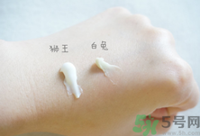 白兔祛痘膏和獅王哪個好？白兔牌暗瘡膏哪款好？