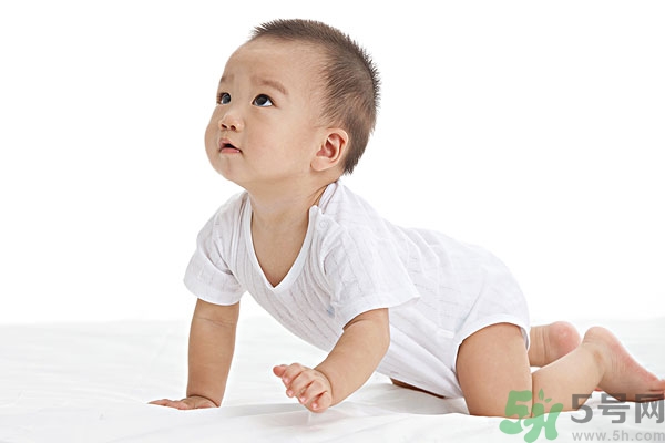 吃南瓜子可以打蟲嗎,南瓜子能打蛔蟲嗎？