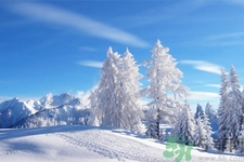 冬季養(yǎng)生吃什么最好？冬季養(yǎng)生吃三冬