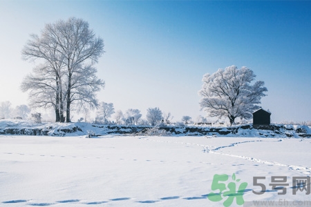 冬季養(yǎng)生吃什么最好？冬季養(yǎng)生吃三冬