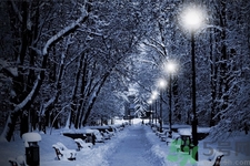 冬季養(yǎng)生吃什么最好？冬季養(yǎng)生吃三冬