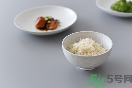 剩飯可以放冰箱嗎?剩飯放在冰箱里能放幾天 剩飯可以放冰箱嗎?剩飯放在冰箱里能放幾天