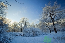 立冬能吃冬棗嗎？立冬吃冬棗有什么好處？