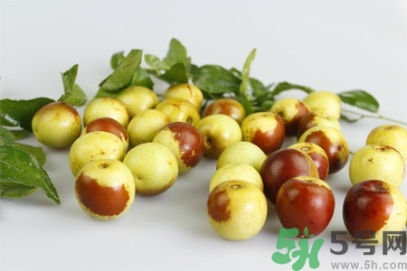 沾化冬棗的營養(yǎng)價(jià)值 沾化冬棗的功效與作用