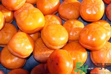 紅薯和柿子能一起吃嗎？紅薯和柿子為什么不能一起吃？