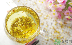 月經(jīng)期能喝桂花茶嗎？經(jīng)期能喝桂花茶嗎？